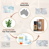 AKARZ Pure Tea Tree Essential Oil - Therapeutic Grade Melaleuca Alternifolia Essence