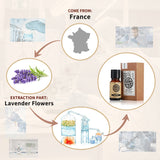 AKARZ Pure Lavender Essential Oil - Therapeutic Grade Lavandula Angustifolia Essence