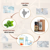 AKARZ Pure Peppermint Essential Oil - Therapeutic Grade Refreshing Mentha Piperita Essence