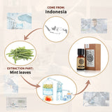 AKARZ Pure Citronella Essential Oil - Therapeutic Grade Refreshing Cymbopogon Essence