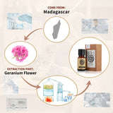 AKARZ Pure Geranium Essential Oil - Therapeutic Grade Balancing Pelargonium Essence