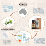 AKARZ Pure Eucalyptus Essential Oil - Therapeutic Grade Clarifying Melaleuca Essence