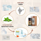 AKARZ Pure Spearmint Essential Oil - Therapeutic Grade Gentle Mentha Spicata Essence