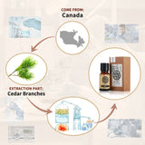 AKARZ Pure Cedar Essential Oil - Therapeutic Grade Canadian Forest Essence