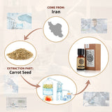 AKARZ Pure Carrot Seed Essential Oil - Therapeutic Grade Skin Revitalizing Essence