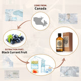AKARZ Pure Black Currant Essential Oil - Therapeutic Grade Vitality Berry Essence