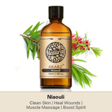 AKARZ Pure Niaouli Essential Oil - Therapeutic Grade Clarifying Melaleuca Essence