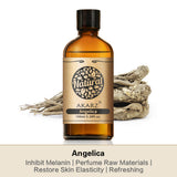 AKARZ Pure Angelica Essential Oil - Therapeutic Grade Grounding Root Essence