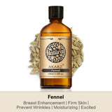 AKARZ Pure Fennel Essential Oil - Therapeutic Grade Restorative Foeniculum Essence