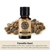 AKARZ DIY Massage Camellia Seeds Oil for Beauty and Stretch Marks - Eliminate Stretch Marks, Hydrate and Nourish Skin - Made in China