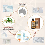 AKARZ Pure Cajeput Essential Oil - Therapeutic Grade Clarifying Melaleuca Essence
