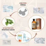 AKARZ Pure Artemisia Leaf Essential Oil - Therapeutic Grade Purifying Herb Essence