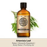 AKARZ Pure Artemisia Leaf Essential Oil - Therapeutic Grade Purifying Herb Essence