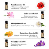 AKARZ Pure Essential Oils Gift Set - Flower Series 10 Pack x 10ml Therapeutic Grade Kit