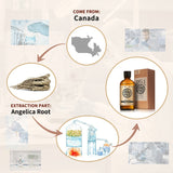 AKARZ Pure Angelica Essential Oil - Therapeutic Grade Grounding Root Essence
