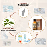 AKARZ Pure White Camphor Essential Oil - Therapeutic Grade Cooling Vitality Essence