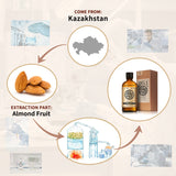 AKARZ Pure Almond Essential Oil - Therapeutic Grade Nourishing Nut Essence