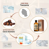 AKARZ Pure Clove Essential Oil - Therapeutic Grade Warming Spice Essence