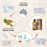AKARZ Pure Niaouli Essential Oil - Therapeutic Grade Clarifying Melaleuca Essence